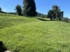 Billede 16
