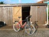 Billede 11