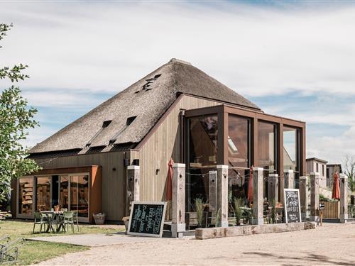 Glamping telt - 6 personer -  - 1759JG - Callantsoog