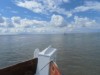 Billede 24