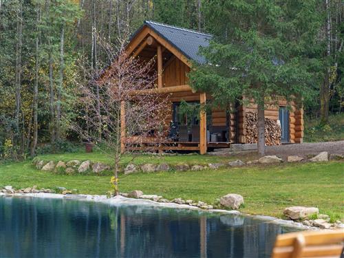 Sommerhus - 2 personer -  - Benesov Nad Cernou - 382 41