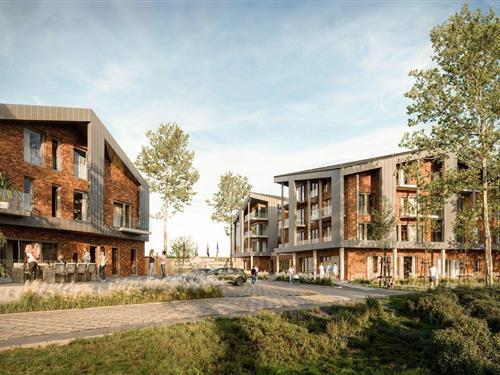 Ferienwohnung - 2 Personen -  - Nordseestrasse - 25899 - Dagebüll