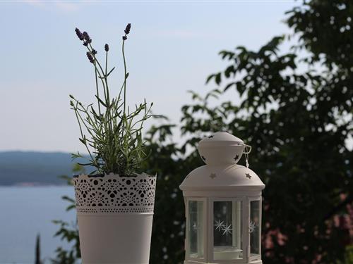 Holiday apartment - 5 persons -  - Vukovarska - 51265 - Dramalj