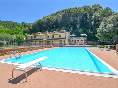 Feriehus / leilighet - 4 personer -  - Villa Elcina, app. - 52043 - Castiglion Fiorentino