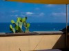 Image 30 - Outside