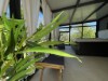 Bild 52 - Aussen