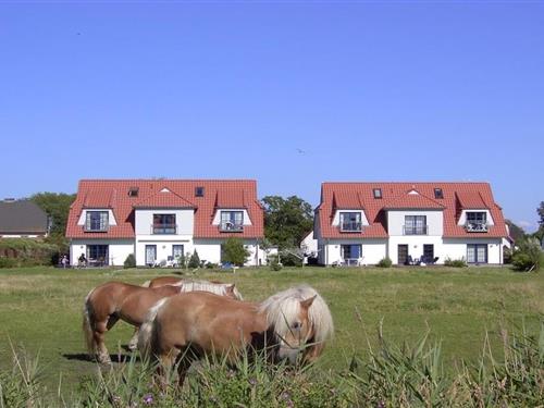 Sommerhus - 4 personer -  - 18565 - Vitte