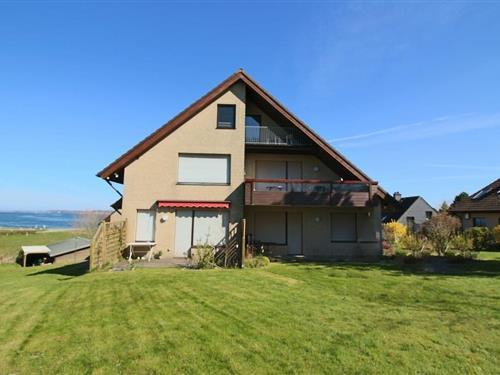 Ferielejlighed - 2 personer -  - Am Yachthafen - 24392 - Boren (Lindaunis)