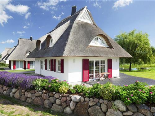 Feriehus - 6 personer -  - 18356 - Fuhlendorf