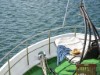 Bild 9 - Ude
