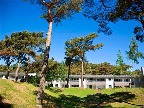 Sommerhus - 4 personer -  - Sirenevej 2 Aprt - Dueodde - 3730 - Nexø