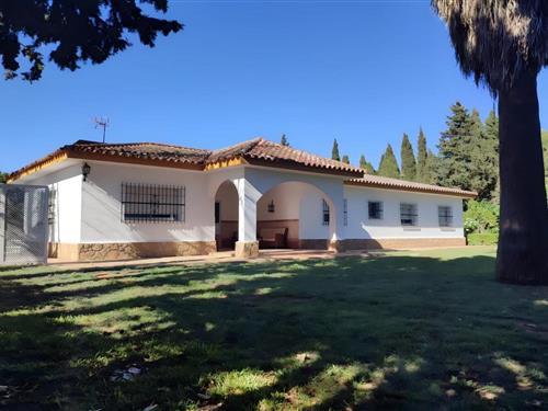 Ferielejlighed - 10 personer -  - 11407 - Jerez De La Frontera