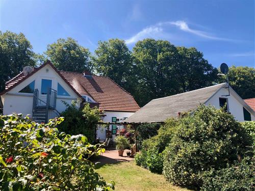 Ferielejlighed - 2 personer -  - Schmiedestr.15 - 18347 - Wustrow