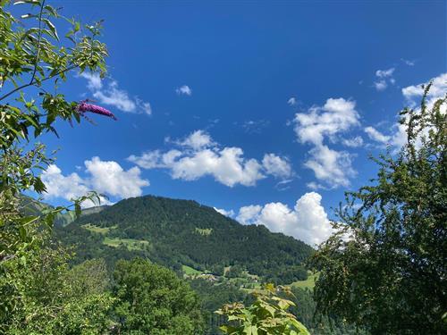 Ferielejlighed - 2 personer -  - Obere Venserstr. - 6773 - Vandans