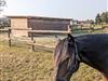Bild 37 - Innen