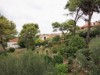Bilde 29