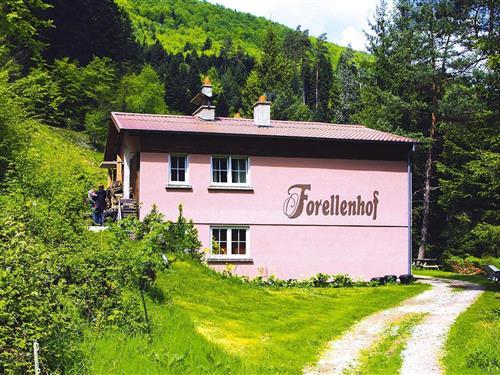 Ferieleilighet - 4 personer -  - 57850 - Dabo