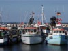 Billede 28