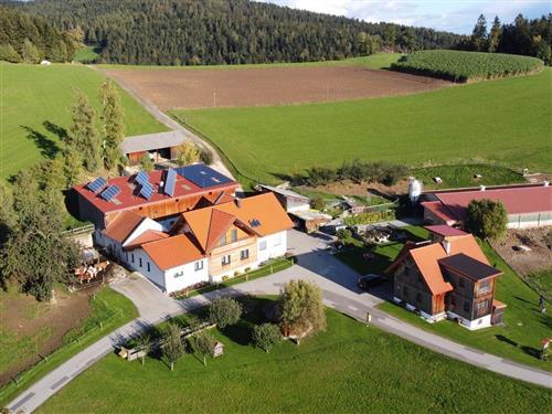 Bauernhof - 4 persons -  - Auerbach - 8242 - Sankt Lorenzen Am Wechsel