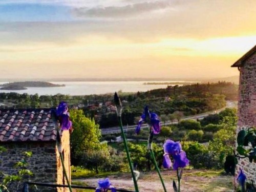 Holiday apartment - 5 persons -  - 06065 - Passignano Sul Trasimeno