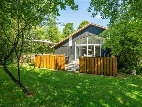 Sommerhus - 10 personer -  - Sydmarken - Arrild - 6520 - Toftlund