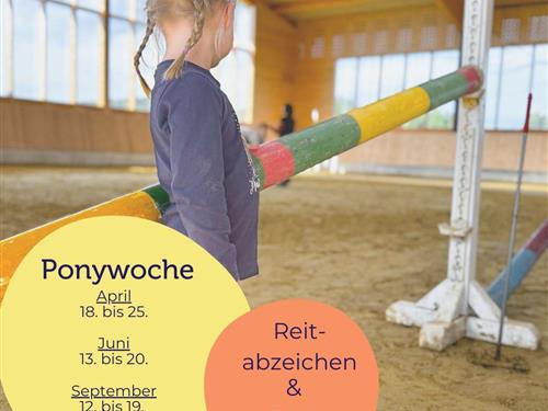 Semesterlägenhet - 4 personer -  - Berghausen - 57392 - Schmallenberg