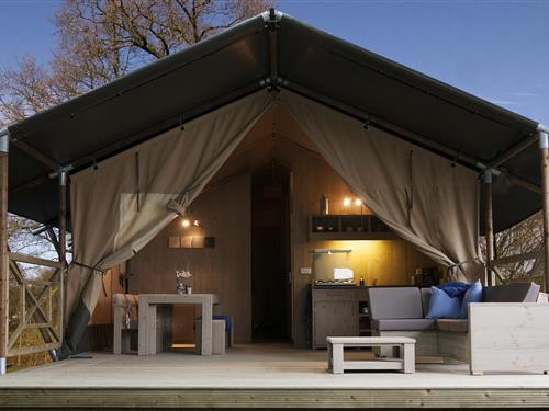 Glamping-Zelt - 6 Personen -  - 3781NJ - Voorthuizen