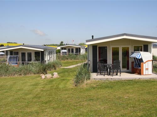 Mobilehome - 4 personer -  - Strandweg - 23730 - Schashagen
