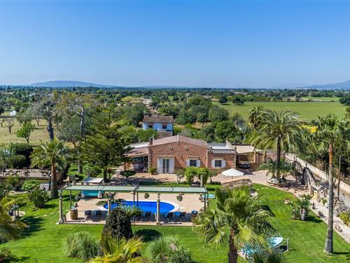 Holiday home - 6 persons -  - Diseminado Poligono - Aladroc, Inca - 07300 - Inca