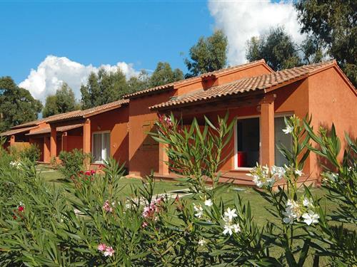 Ferielejlighed - 8 personer -  - 20240 - Ghisonaccia