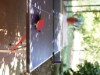 Image 30 - Outside