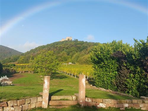 Ferieleilighet - 4 personer -  - Andergasse - 67434 - Neustadt An Der Weinstraß