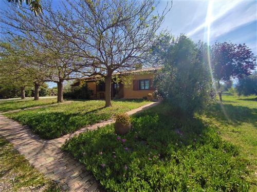 Sommerhus - 4 personer -  - Roccastrada - 58027