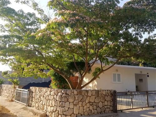 Ferielejlighed - 4 personer -  - Saplunara - 20224 - Maranovici