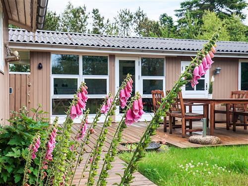 Sommerhus - 6 personer -  - Kongevejen - 9370 - Hals