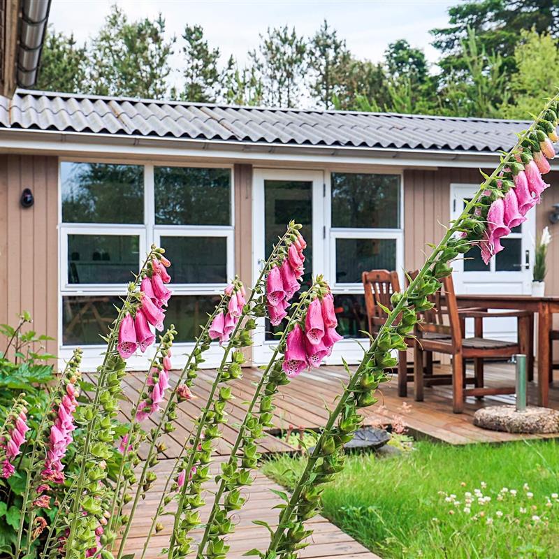 Ferienhaus - 6 Personen -  - Kongevejen - 9370 - Hals