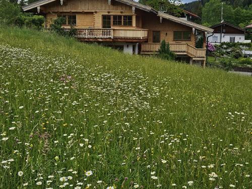 Semesterhus/Semesterlägenhet - 2 personer -  - Johannesweg - 83324 - Ruhpolding