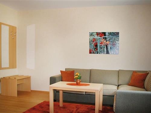 Holiday apartment - 2 persons -  - 38524 - Sassenburg