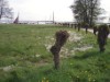 Bild 17