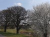Bild 22