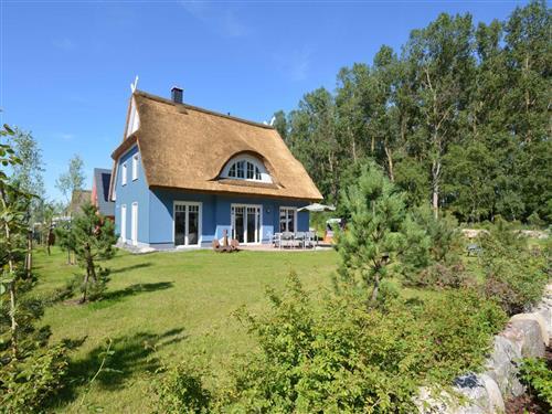Sommerhus - 8 personer -  - Glowe - 18551