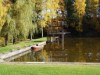 Bild 21