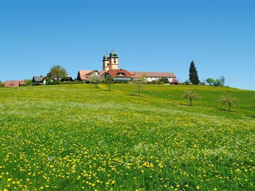 Sommerhus - 4 personer -  - 79274 - St. Märgen