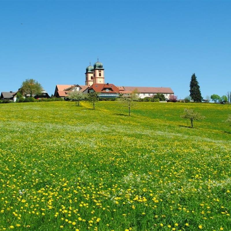 Sommerhus - 4 personer -  - 79274 - St. Märgen