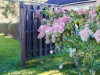 Image 23 - Outside