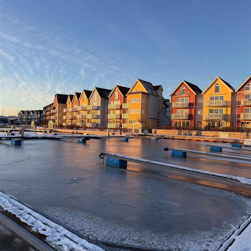 Ferielejlighed - 4 personer -  - Am Holzteich - 17489 - Greifswald