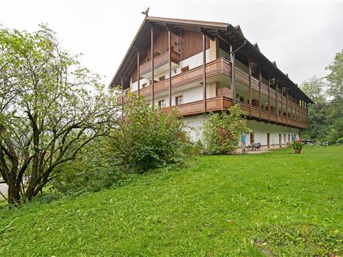 Ferieleilighet - 2 personer -  - 93470 - Schwarzenbach