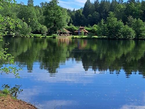 Ferielejlighed - 2 personer -  - Lindenstraße - 66996 - Ludwigswinkel