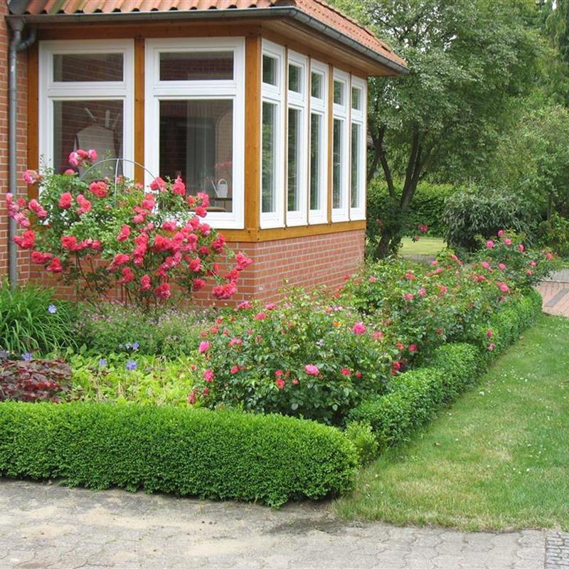 Ferielejlighed - 6 personer -  - Bockhorn - 29664 - Walsrode