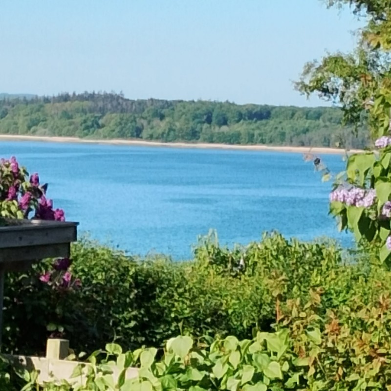 Ferienhaus - 5 Personen -  - Olaf Kristiansensvej - Kirke Hyllinge - 4070